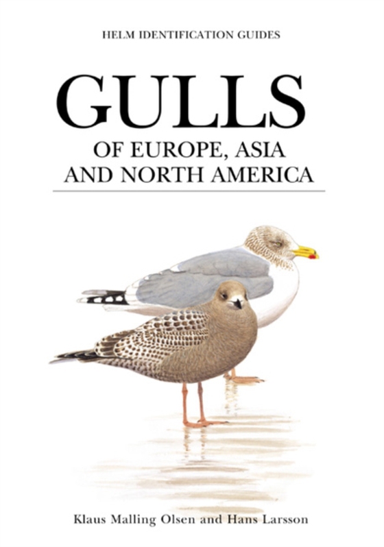 Gulls of Europe, Asia and North America (e-bog) af Klaus Malling Olsen, Malling Olsen