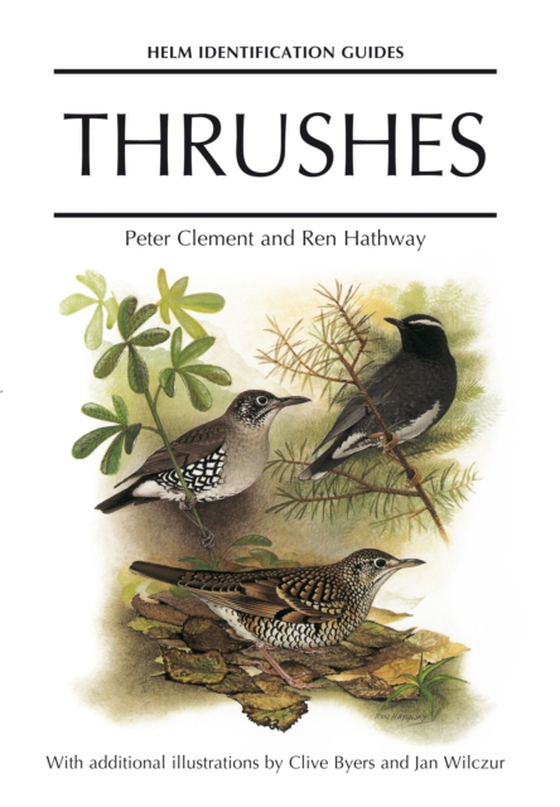 Thrushes (e-bog) af Ren Hathway, Hathway