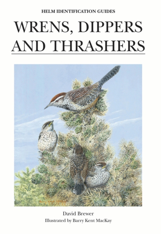 Wrens, Dippers and Thrashers (e-bog) af David Brewer, Brewer