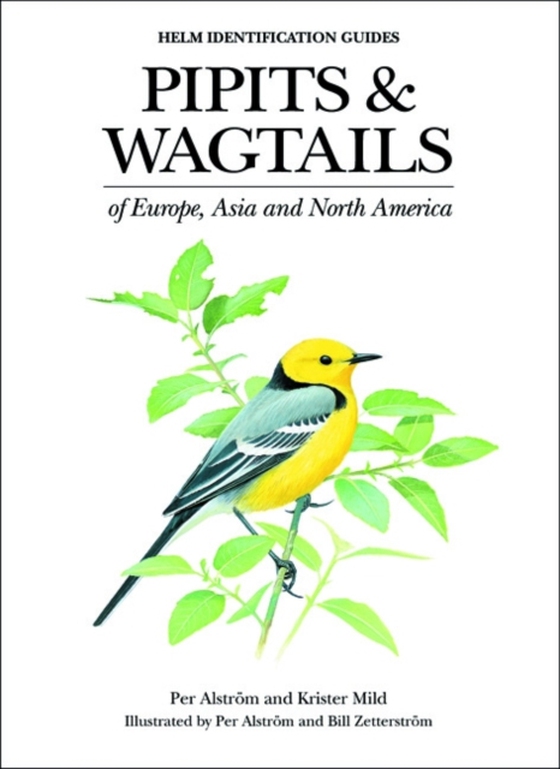 Pipits and Wagtails of Europe, Asia and North America (e-bog) af Krister Mild, Mild