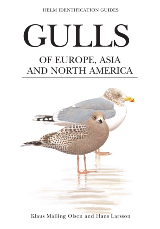 Gulls of Europe, Asia and North America