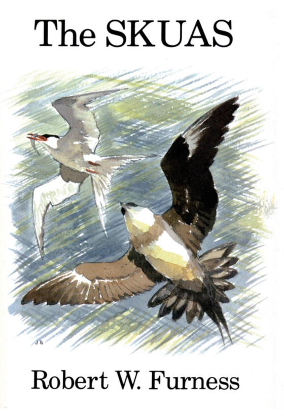 Skuas