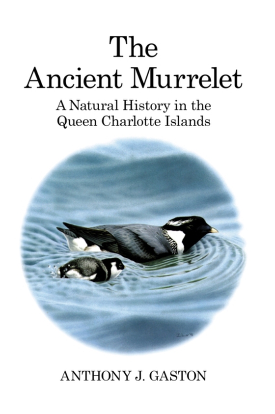 Ancient Murrelet (e-bog) af Anthony J. Gaston, Gaston