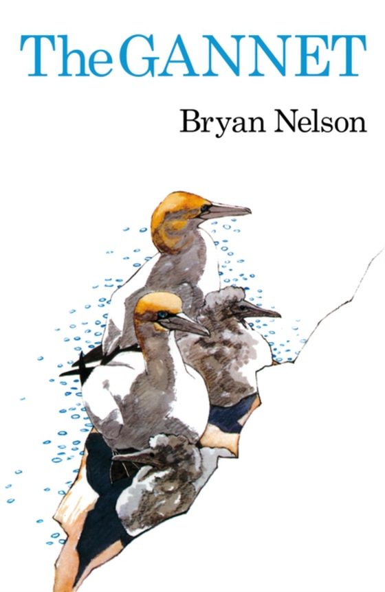 Gannet (e-bog) af Bryan Nelson, Nelson