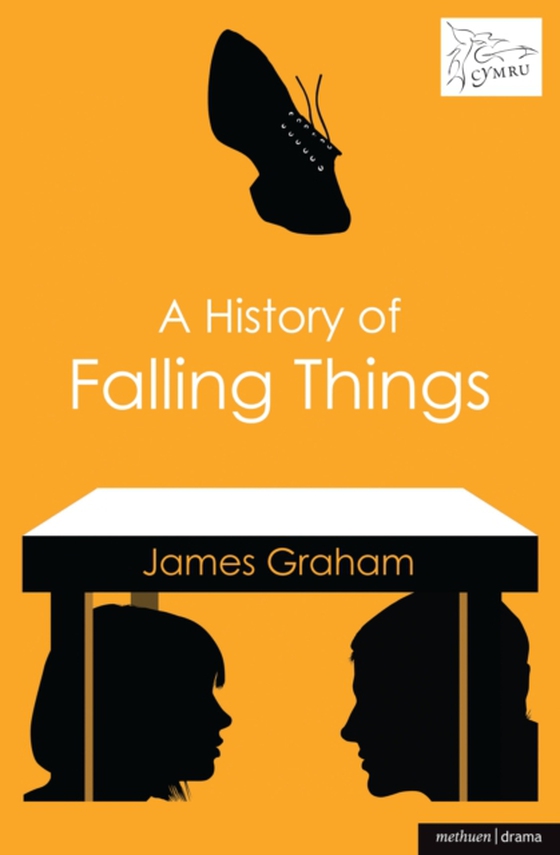 History of Falling Things (e-bog) af James Graham, Graham