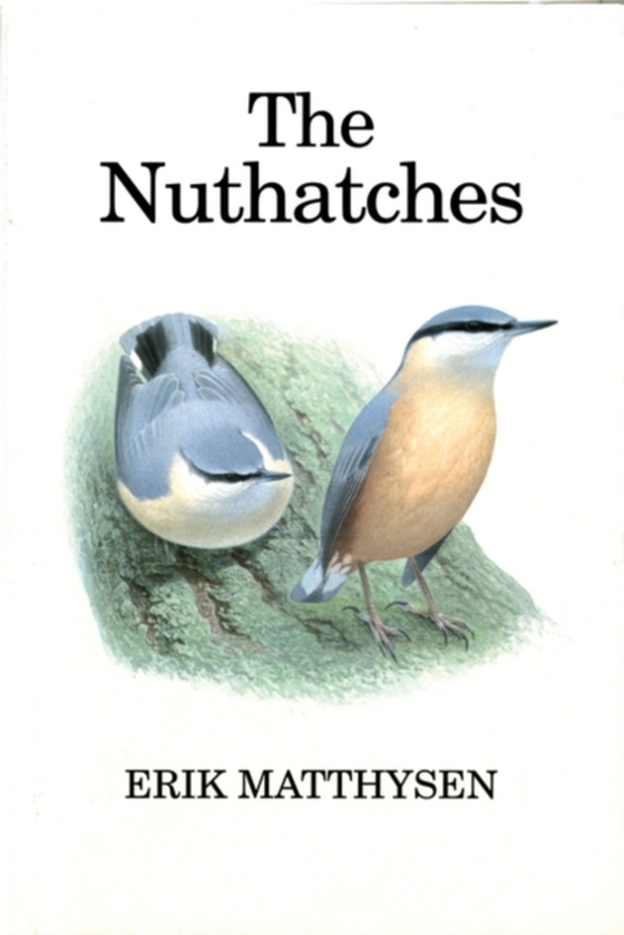 Nuthatches (e-bog) af Erik Matthysen, Matthysen