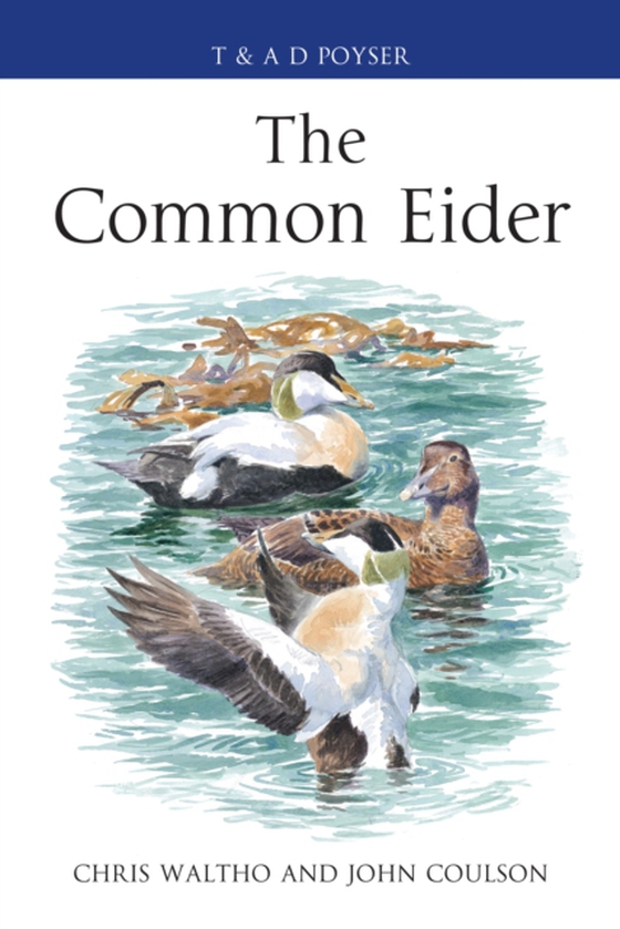 Common Eider (e-bog) af John Coulson, Coulson