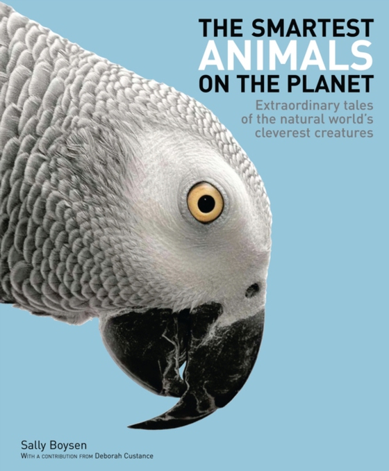 Smartest Animals on the Planet (e-bog) af Sally Boysen, Boysen