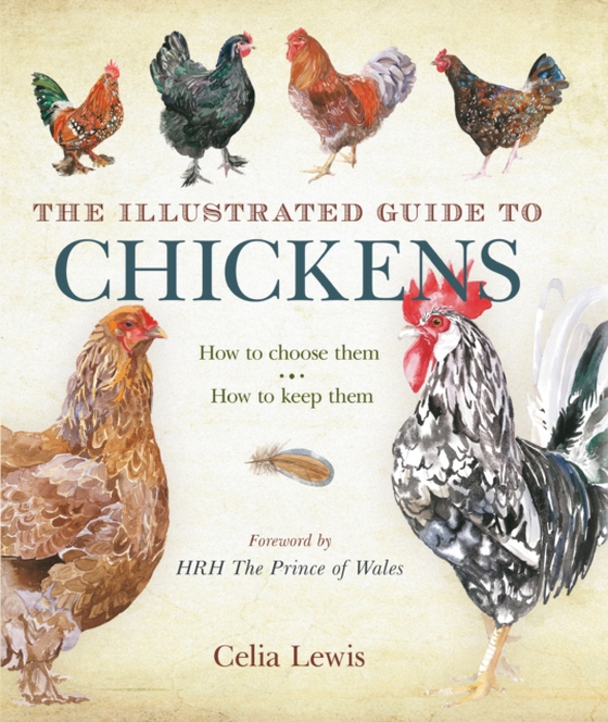 Illustrated Guide to Chickens (e-bog) af Celia Lewis, Lewis