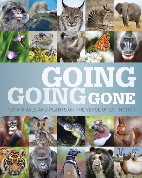 Going, Going, Gone (e-bog) af Bloomsbury Publishing, Bloomsbury Publishing