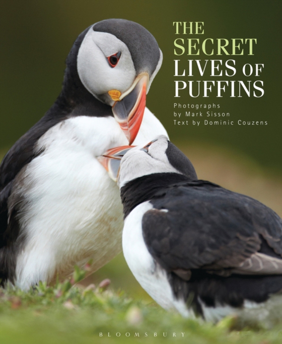 Secret Lives of Puffins (e-bog) af Dominic Couzens, Couzens