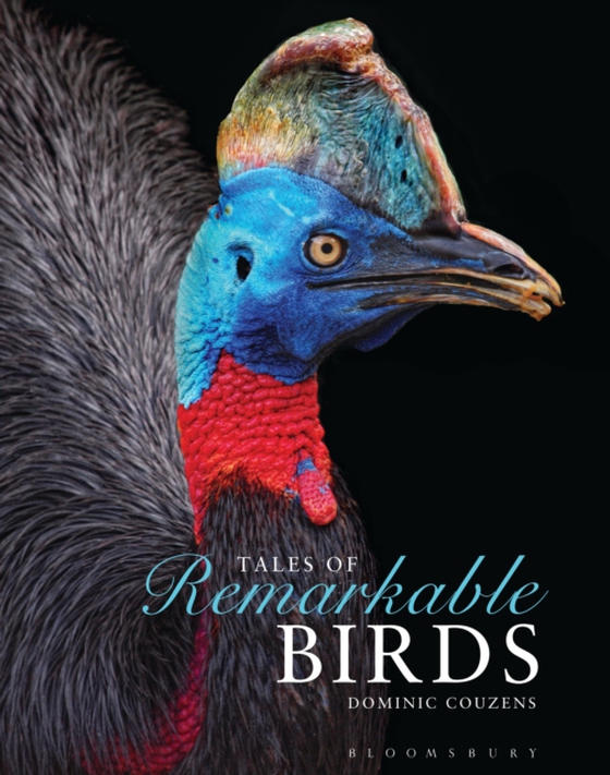 Tales of Remarkable Birds