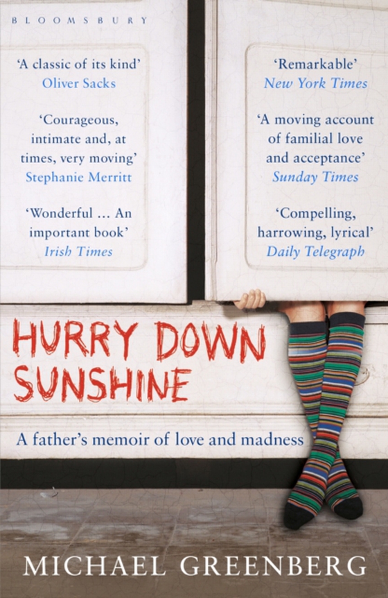 Hurry Down Sunshine (e-bog) af Michael Greenberg, Greenberg