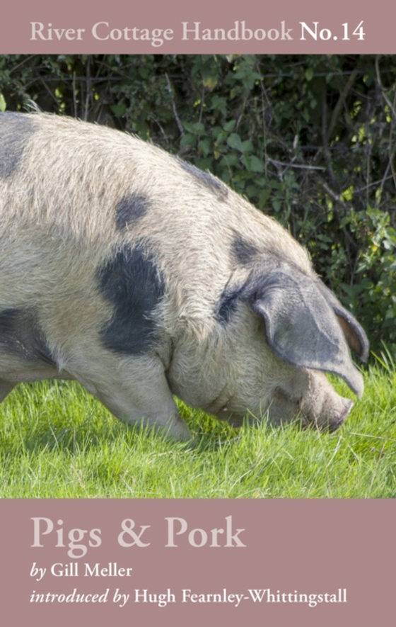 Pigs & Pork (e-bog) af Gill Meller, Meller