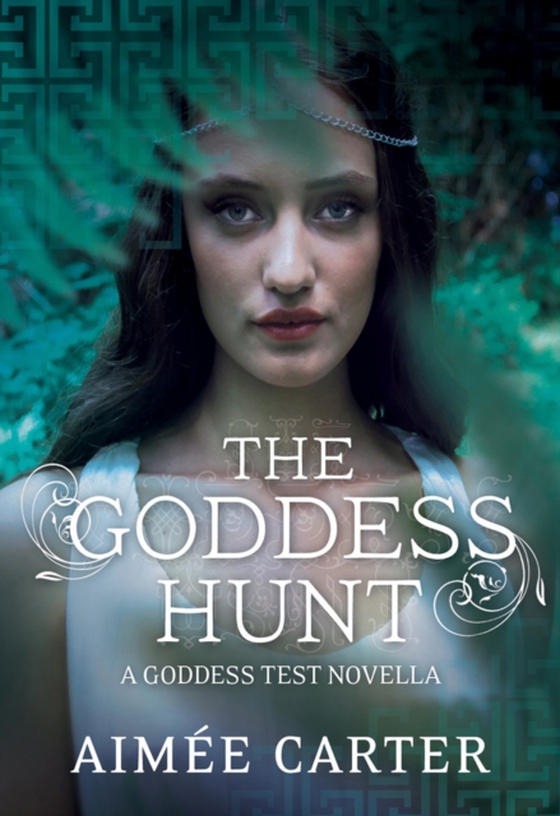 Goddess Hunt (e-bog) af Carter, Aimee