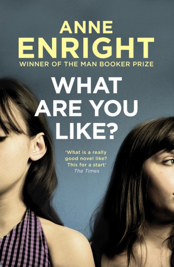 What Are You Like (e-bog) af Enright, Anne