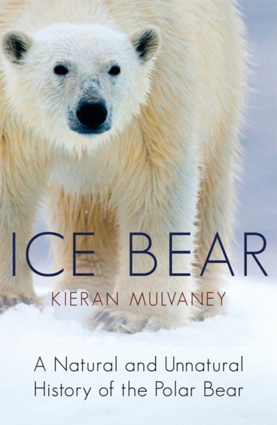 Ice Bear (e-bog) af Mulvaney, Kieran
