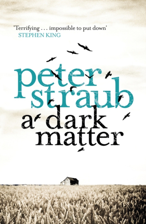 Dark Matter (e-bog) af Straub, Peter