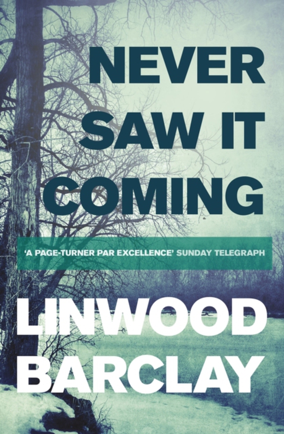 Never Saw it Coming (e-bog) af Barclay, Linwood