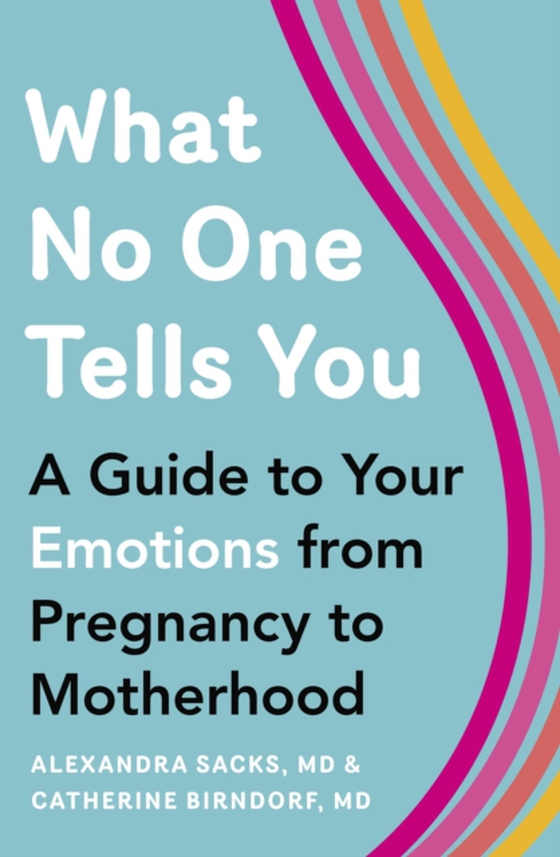 What No One Tells You (e-bog) af Birndorf, Catherine