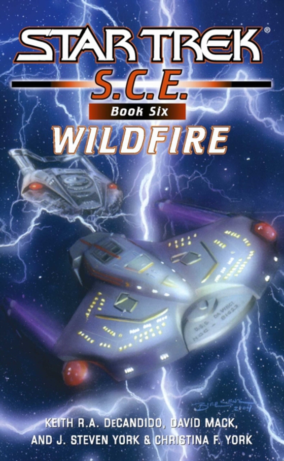 Star Trek: Corps of Engineers: Wildfire (e-bog) af York, Christina F.