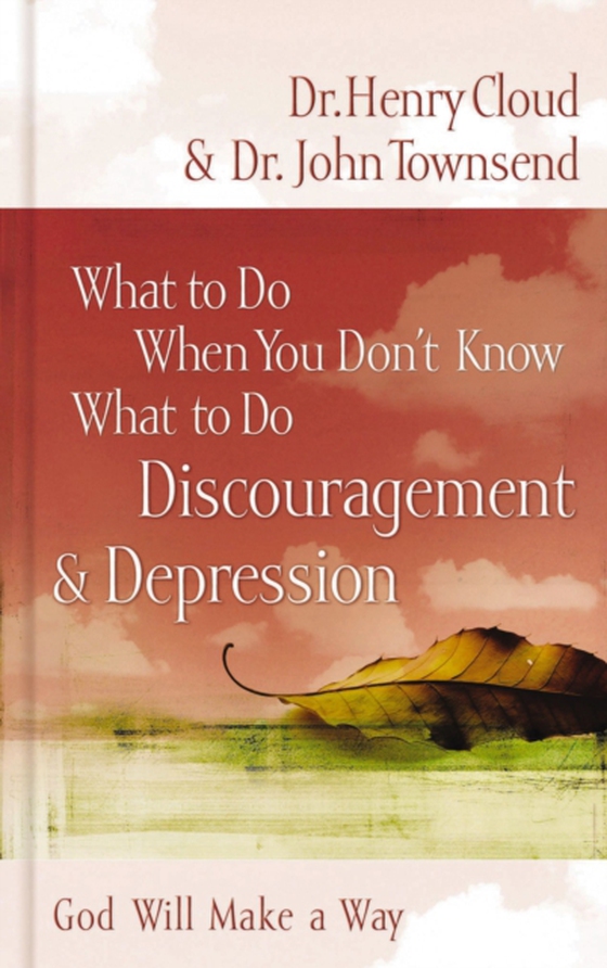 What to Do When You Don't Know What to Do: Discouragement and   Depression (e-bog) af Townsend, John