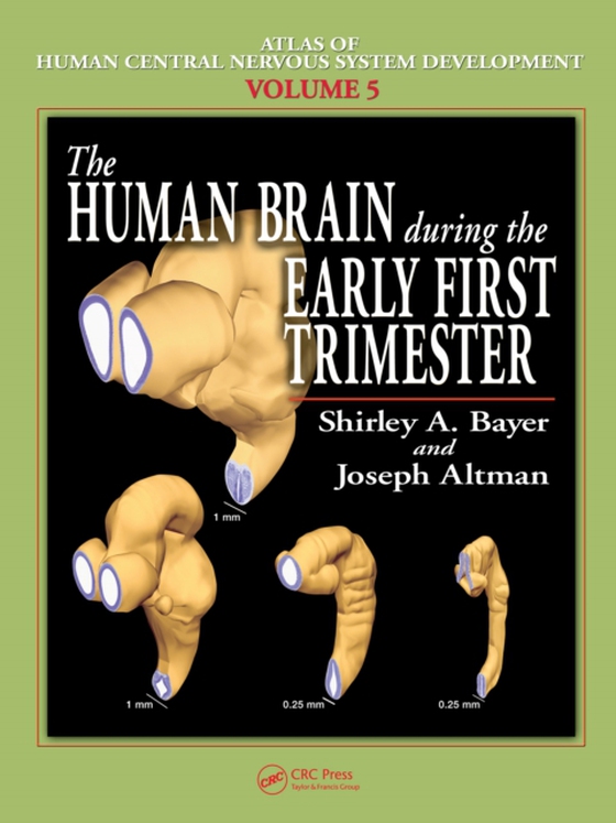 Human Brain During the Early First Trimester (e-bog) af Altman, Joseph