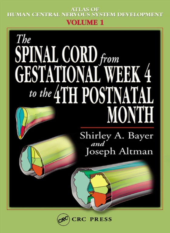 Spinal Cord from Gestational Week 4 to the 4th Postnatal Month (e-bog) af Altman, Joseph