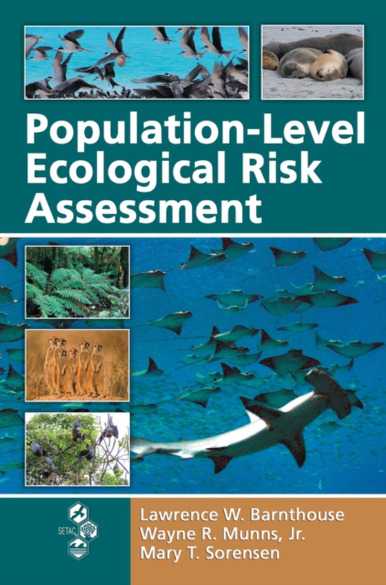 Population-Level Ecological Risk Assessment