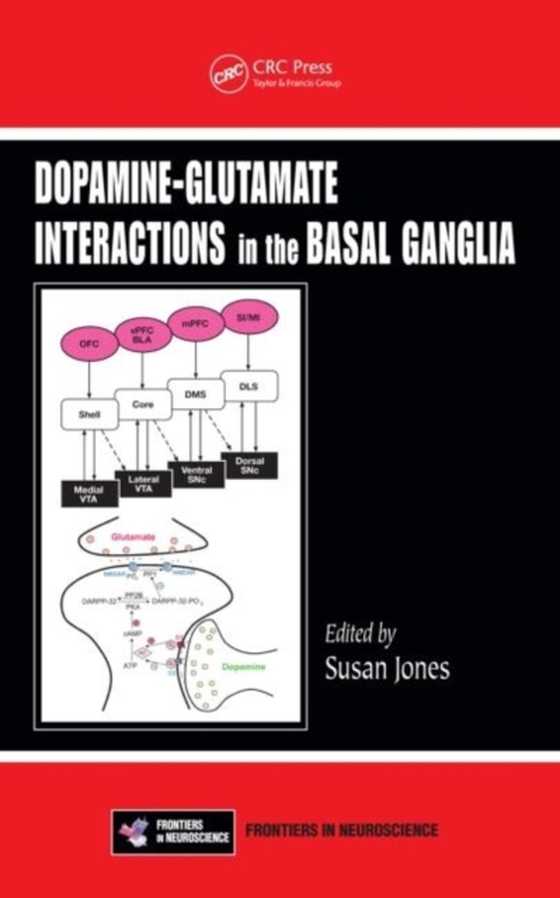 Dopamine - Glutamate Interactions in the Basal Ganglia (e-bog) af -