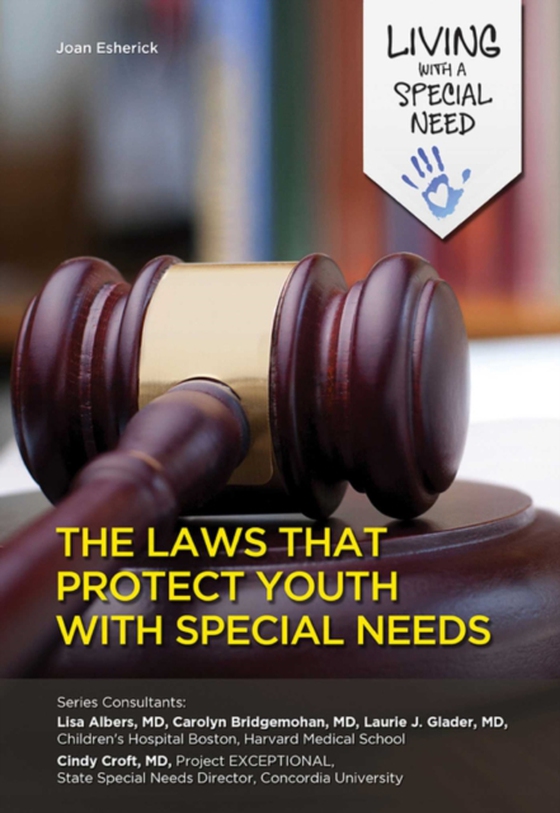 Laws That Protect Youth with Special Needs (e-bog) af Esherick, Joan