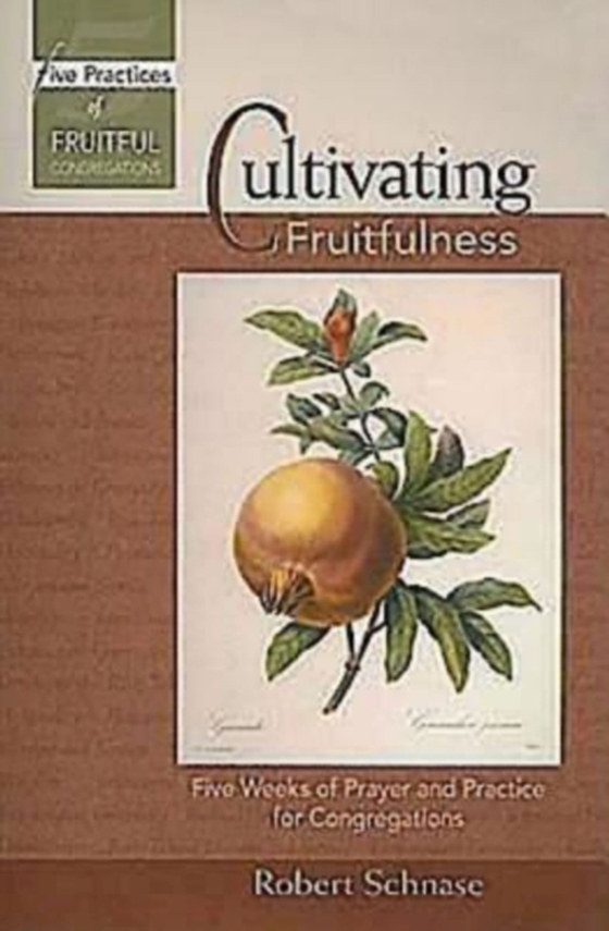 Cultivating Fruitfulness (e-bog) af Schnase, Bishop Robert