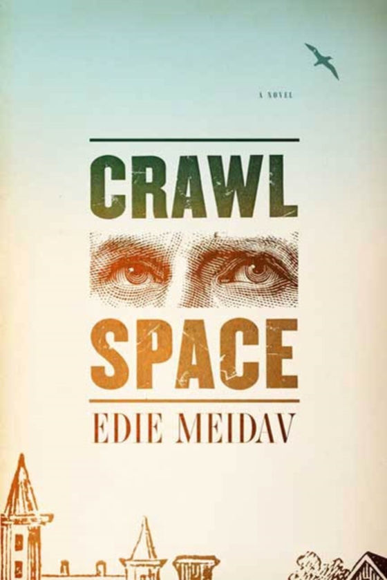 Crawl Space (e-bog) af Meidav, Edie