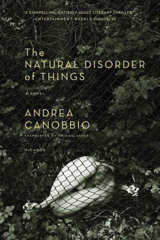 Natural Disorder of Things (e-bog) af Canobbio, Andrea