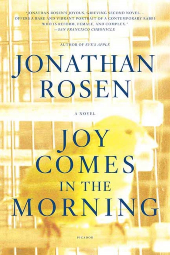 Joy Comes in the Morning (e-bog) af Rosen, Jonathan