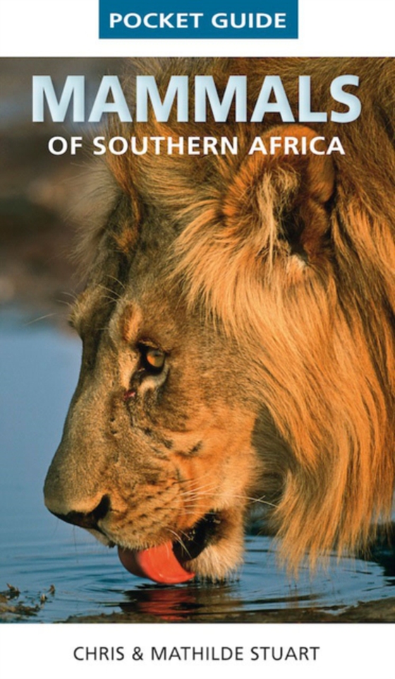 Pocket Guide Mammals of Southern Africa (e-bog) af Stuart, Chris