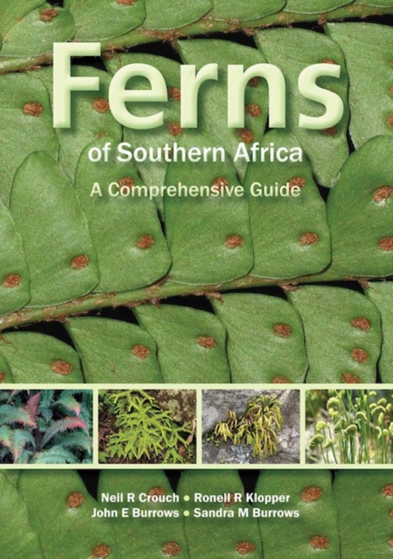 Ferns of Southern Africa: A Comprehensive Guide (PVC) (e-bog) af Crouch, Neil R