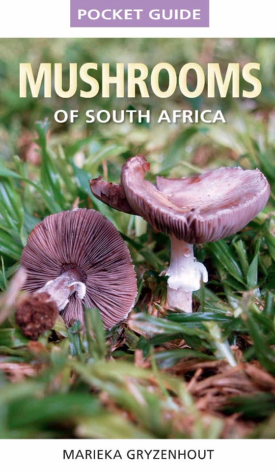 Pocket Guide to Mushrooms of South Africa (e-bog) af Gryzenhout, Marieka