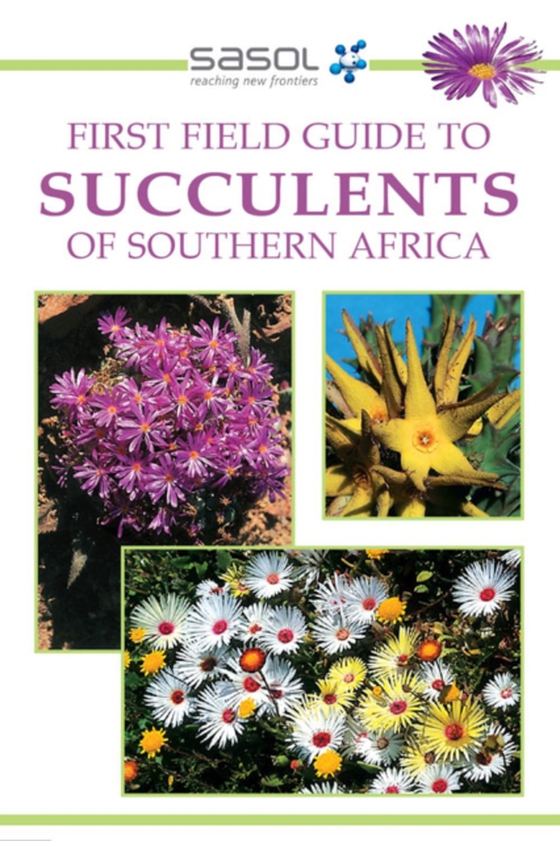 Sasol First Field Guide to Succulents of Southern Africa (e-bog) af Manning, John