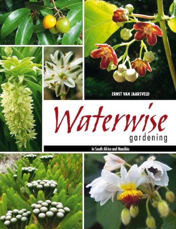 Waterwise Gardening in South Africa and Namibia (e-bog) af Jaarsveld, Ernst van