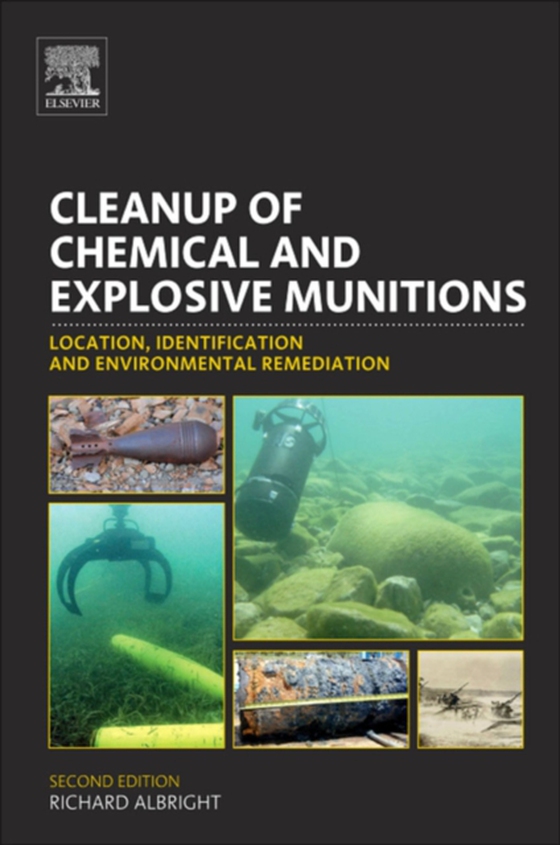 Cleanup of Chemical and Explosive Munitions (e-bog) af Albright, Richard