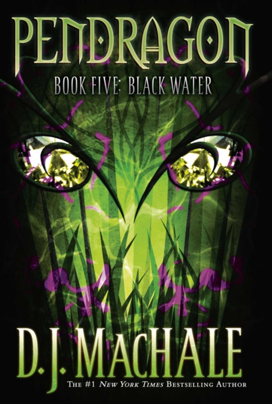 Black Water (e-bog) af MacHale, D.J.