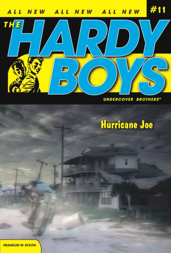 Hurricane Joe (e-bog) af Dixon, Franklin W.