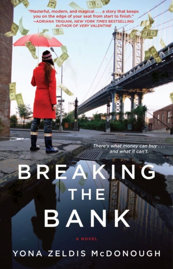 Breaking the Bank (e-bog) af McDonough, Yona Zeldis