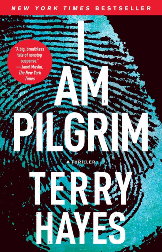 I Am Pilgrim (e-bog) af Hayes, Terry