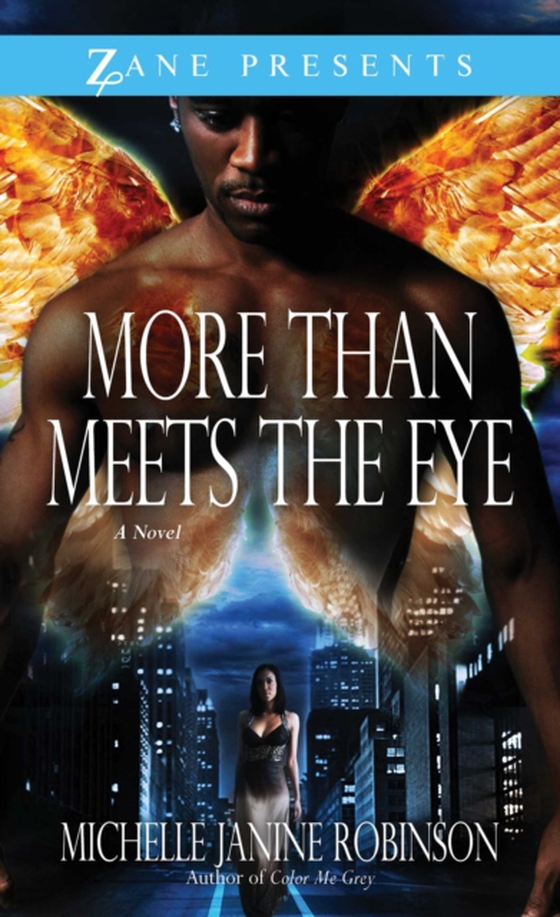 More Than Meets the Eye (e-bog) af Robinson, Michelle Janine