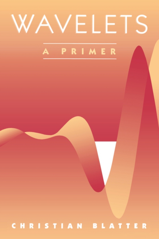 Wavelets (e-bog) af Blatter, Christian