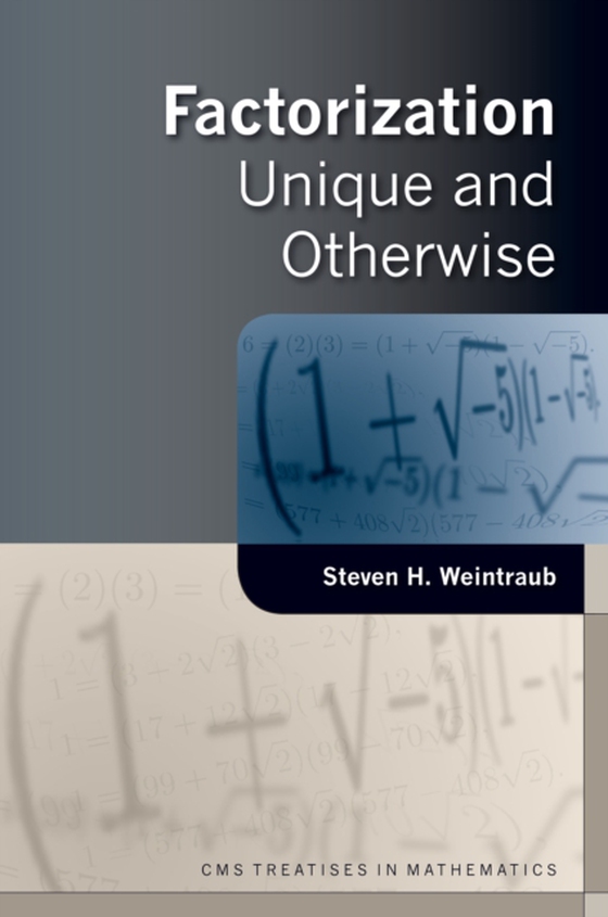 Factorization (e-bog) af Weintraub, Steven H.