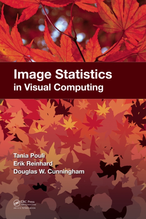 Image Statistics in Visual Computing (e-bog) af Cunningham, Douglas W.