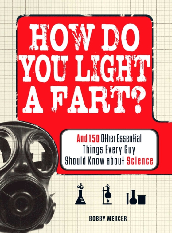 How Do You Light a Fart? (e-bog) af Mercer, Bobby